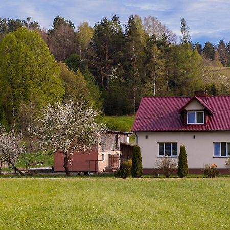 U Jadzi Pogorze Przemyskie Bircza Exteriör bild